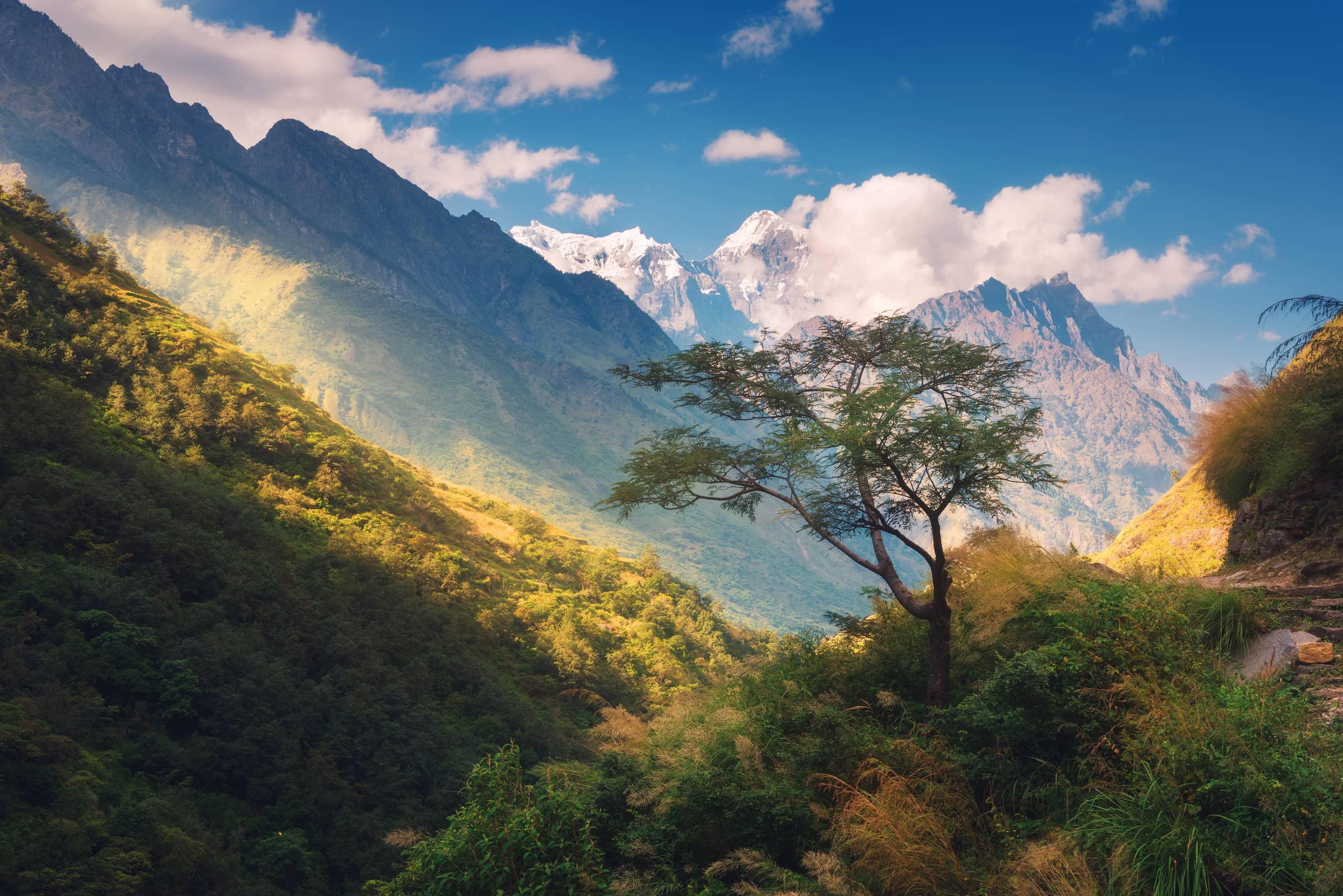 Himalayan Mountains | Stichting Himalaya Yoga | Tiel, Nederland